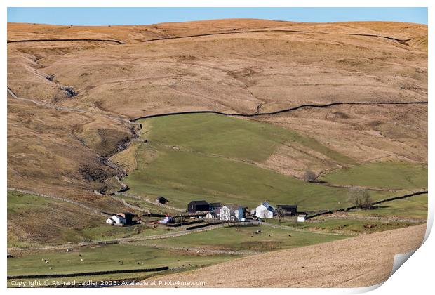 Marshes Gill Farm, Harwood, Teesdale Print by Richard Laidler