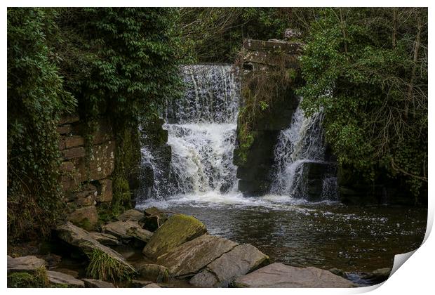 Penllergare waterfall in Swansea Print by Leighton Collins