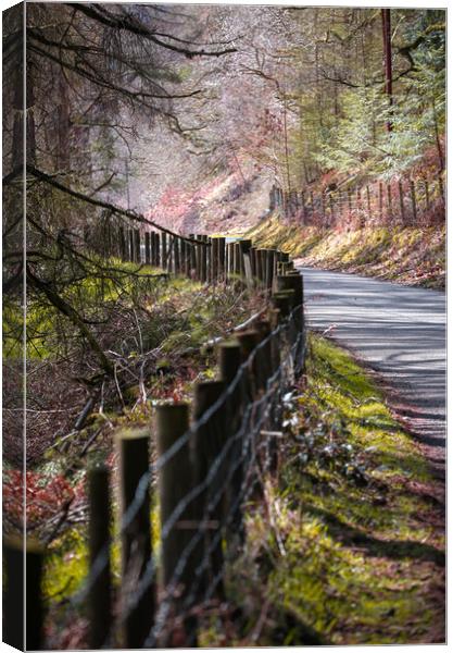 Old wooden fence Canvas Print by Leighton Collins