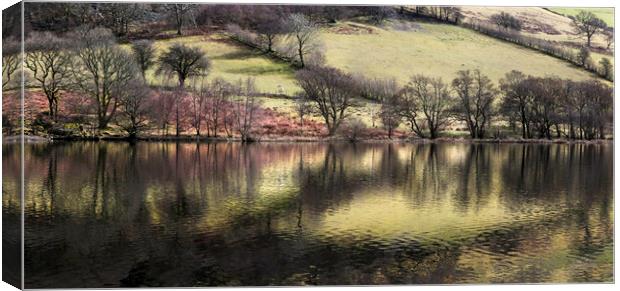 Elan Valley reservoir  Canvas Print by Leighton Collins