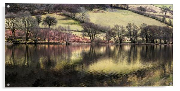 Elan Valley reservoir  Acrylic by Leighton Collins