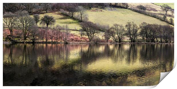 Elan Valley reservoir  Print by Leighton Collins