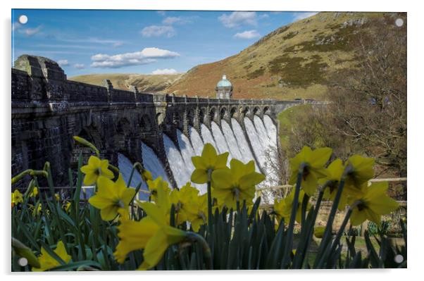 Elan Valley in Spring Acrylic by Leighton Collins
