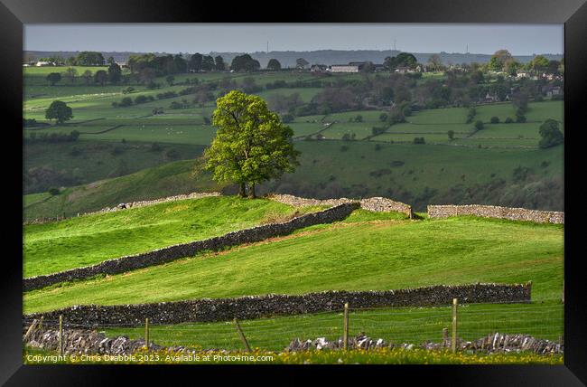 Wetton fields in sunlight Framed Print by Chris Drabble