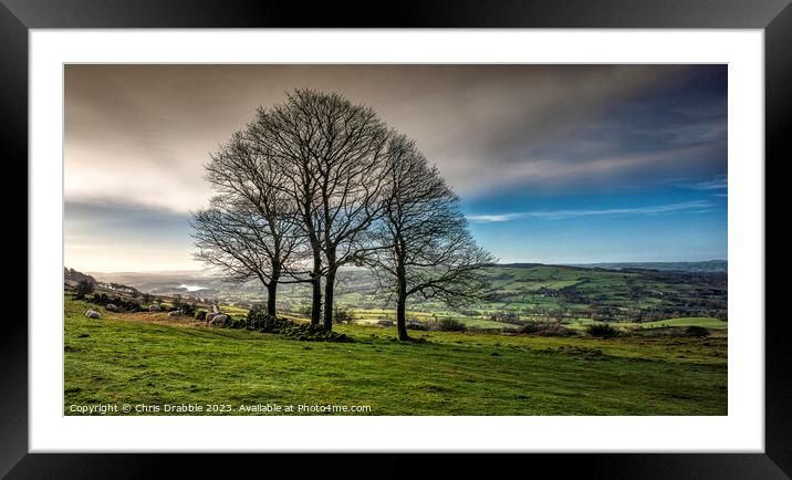 Winter trees at the Roaches (3) Framed Mounted Print by Chris Drabble
