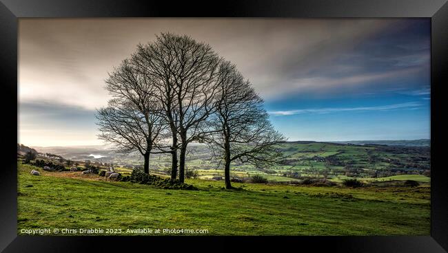 Winter trees at the Roaches (3) Framed Print by Chris Drabble
