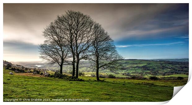 Winter trees at the Roaches (3) Print by Chris Drabble