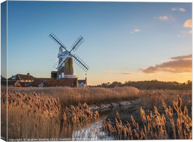 Cley golden reeds Canvas Print by andrew loveday