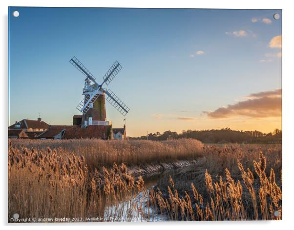 Cley golden reeds Acrylic by andrew loveday