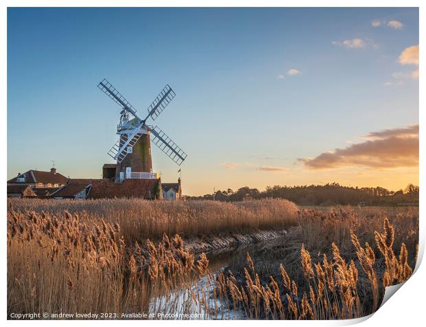 Cley golden reeds Print by andrew loveday
