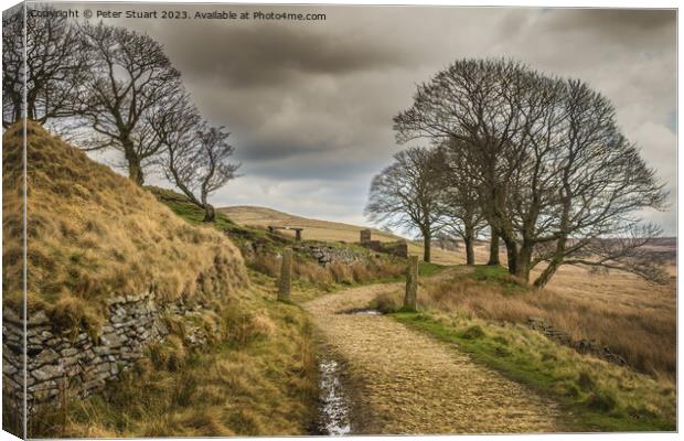 On the West Pennine Moors from Great Hill to White Coppice Canvas Print by Peter Stuart