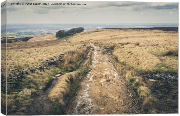Walking on the West Pennine Moors from Great Hill to White Coppi Canvas Print by Peter Stuart