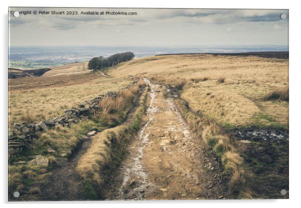 Walking on the West Pennine Moors from Great Hill to White Coppi Acrylic by Peter Stuart