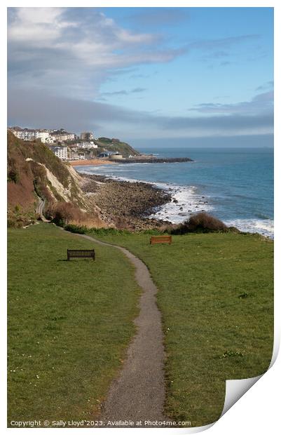 A Breathtaking Spring Walk on the Isle of Wight Print by Sally Lloyd