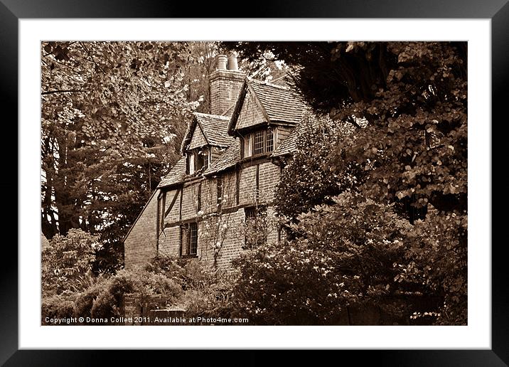 Secret House Framed Mounted Print by Donna Collett