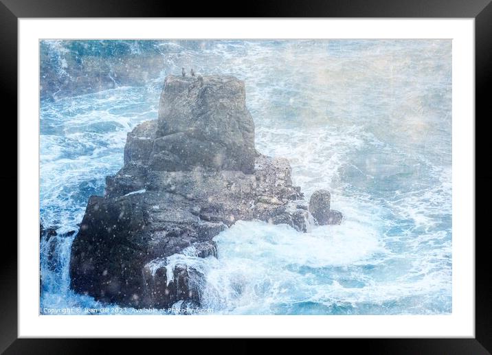 Lands End Cormorants Framed Mounted Print by Jean Gill