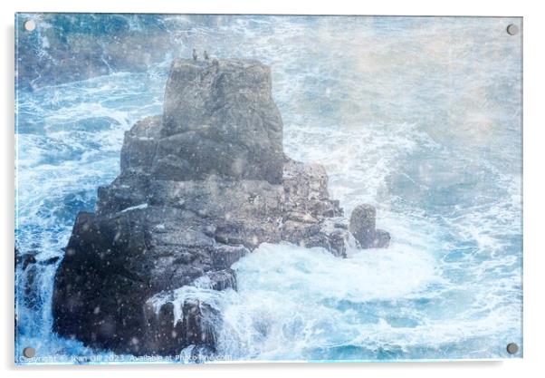 Lands End Cormorants Acrylic by Jean Gill