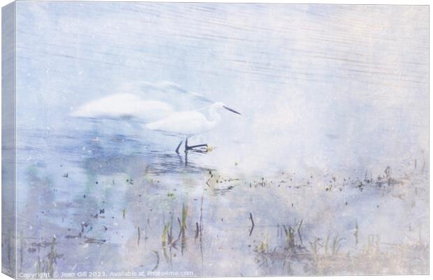 Little Egret, Marazion, Cornwall Canvas Print by Jean Gill