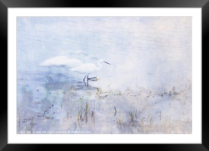 Little Egret, Marazion, Cornwall Framed Mounted Print by Jean Gill