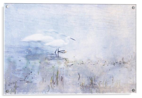 Little Egret, Marazion, Cornwall Acrylic by Jean Gill