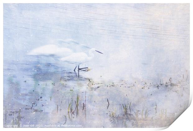 Little Egret, Marazion, Cornwall Print by Jean Gill