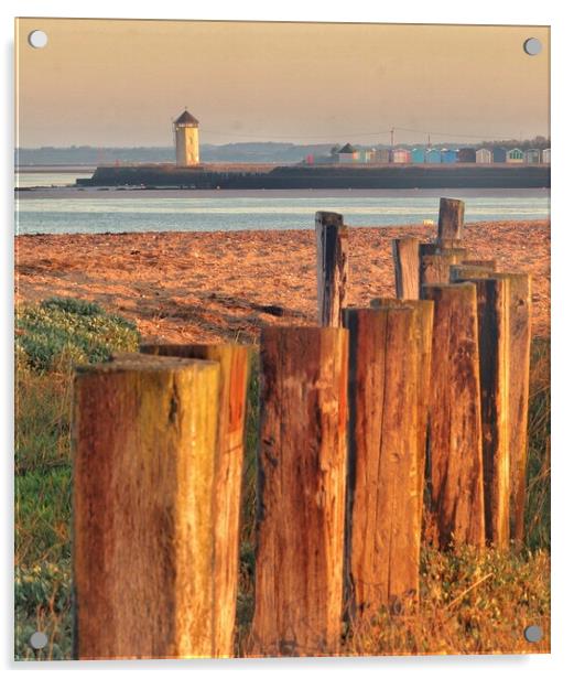 Batemans tower Brightlingsea basking in the sunrise rise  Acrylic by Tony lopez