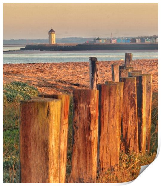 Batemans tower Brightlingsea basking in the sunrise rise  Print by Tony lopez