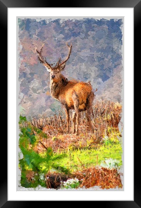 Red Stag Deer in Oils Framed Mounted Print by Graham Lathbury