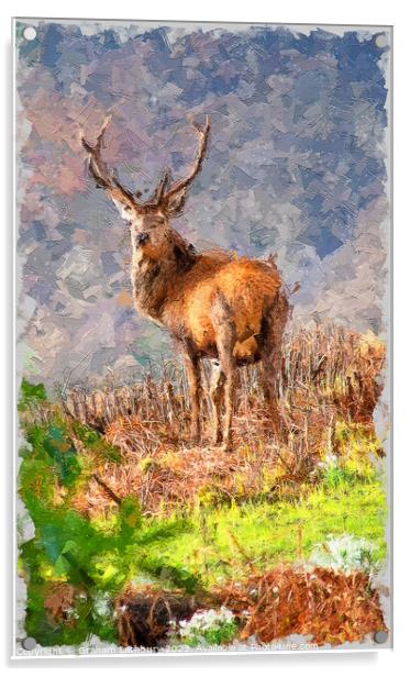 Red Stag Deer in Oils Acrylic by Graham Lathbury