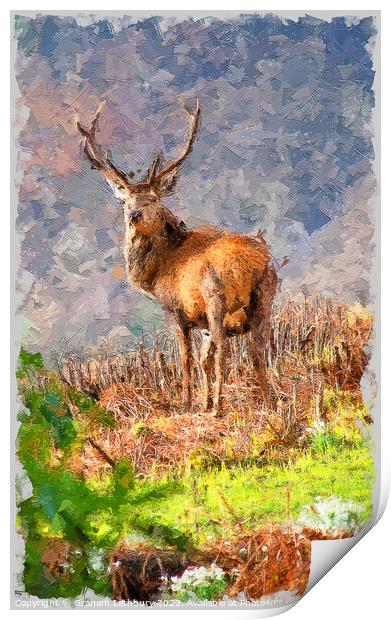 Red Stag Deer in Oils Print by Graham Lathbury