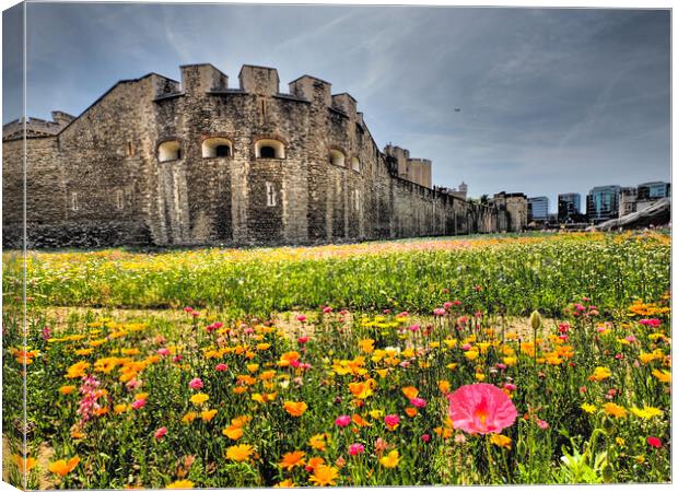 Tower of London Superbloom  Canvas Print by David Hall