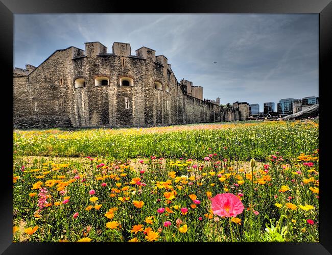 Tower of London Superbloom  Framed Print by David Hall