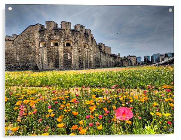 Tower of London Superbloom  Acrylic by David Hall