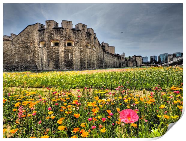 Tower of London Superbloom  Print by David Hall