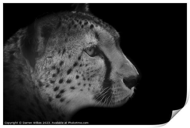 The Fierce Beauty of a Monochrome Cheetah Print by Darren Wilkes