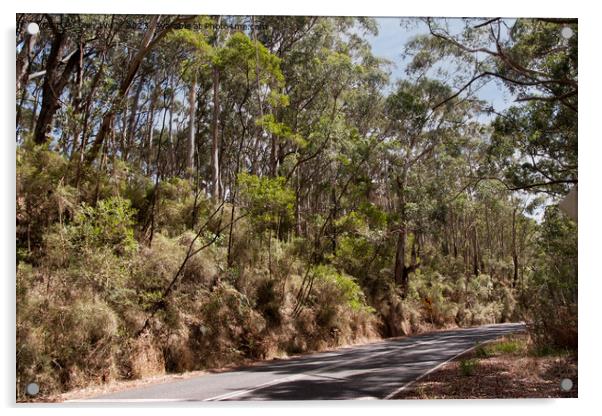 Australian Highway past gumtrees Acrylic by Sally Wallis