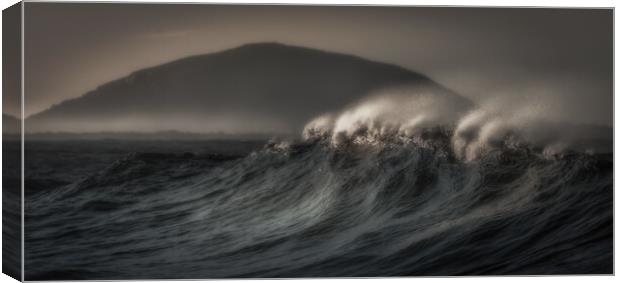 The Wave Canvas Print by Pete Evans