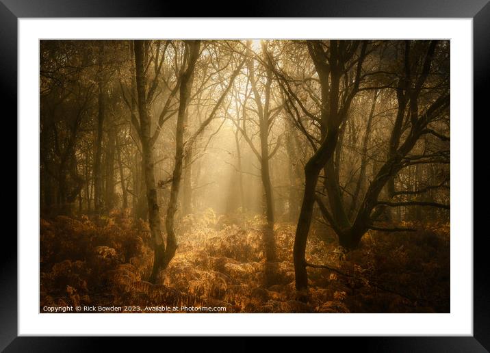 Woodland Warmth Framed Mounted Print by Rick Bowden