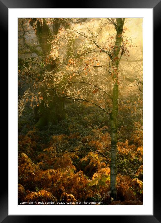 Winters Silver Beauty Framed Mounted Print by Rick Bowden