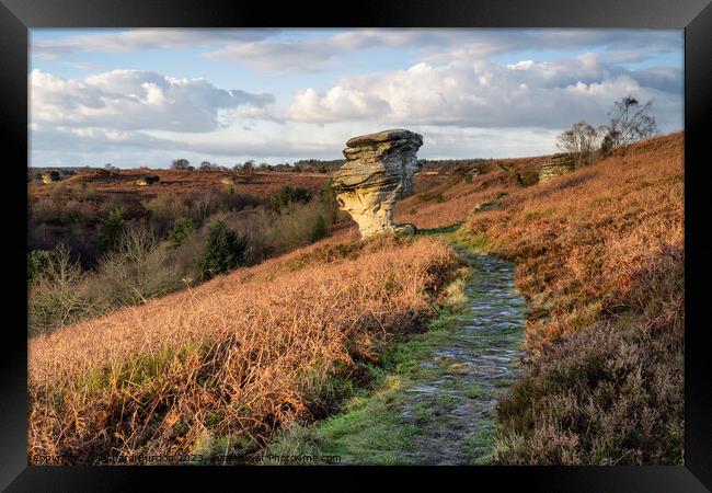 The Bridestones at Sunset Framed Print by Richard Burdon