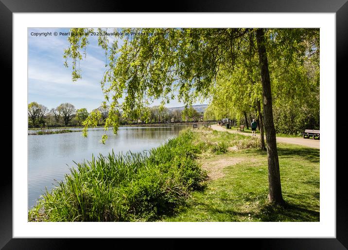 Cwmbran Boating Lake Wales Framed Mounted Print by Pearl Bucknall