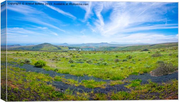 View on Los Valles valley on Lanzarote during springtime. Canvas Print by Kristof Bellens