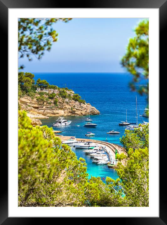 Portals Vells marina Luxury Yachting  Framed Mounted Print by Alex Winter