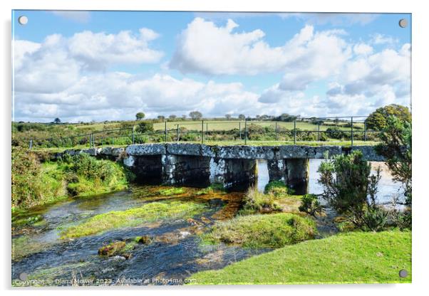 Delford  Bridge Bodmin Moor Acrylic by Diana Mower