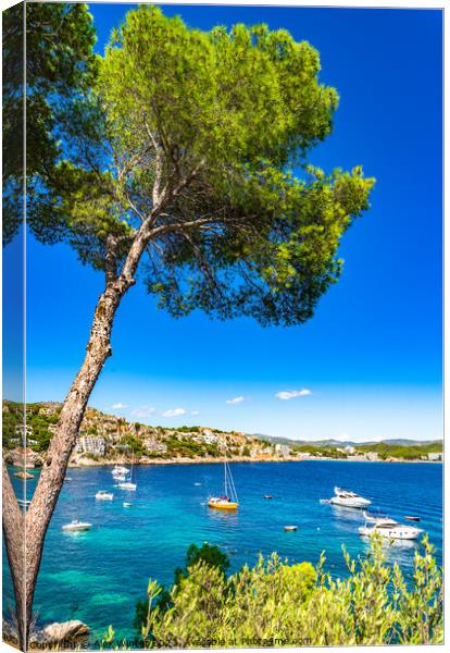 Boats yachts at seaside of Cala Fornells bay Canvas Print by Alex Winter