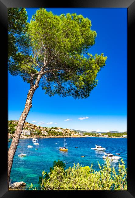 Boats yachts at seaside of Cala Fornells bay Framed Print by Alex Winter