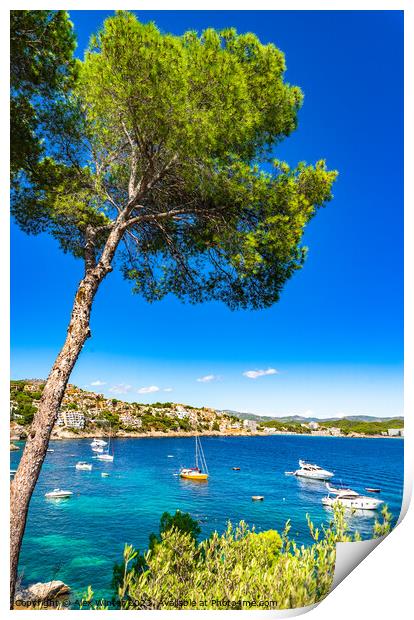 Boats yachts at seaside of Cala Fornells bay Print by Alex Winter