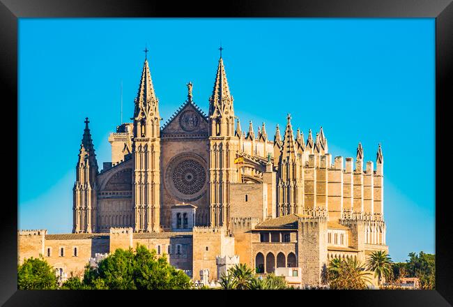 Cathedral of Palma de Majorca Framed Print by Alex Winter