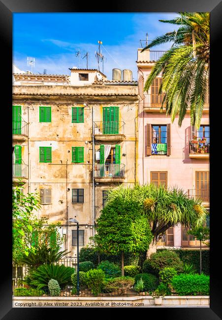 Palma de Majorca, Spain Framed Print by Alex Winter