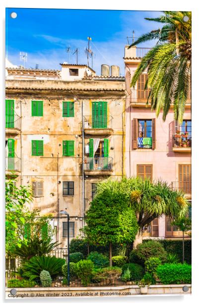 Palma de Majorca, Spain Acrylic by Alex Winter